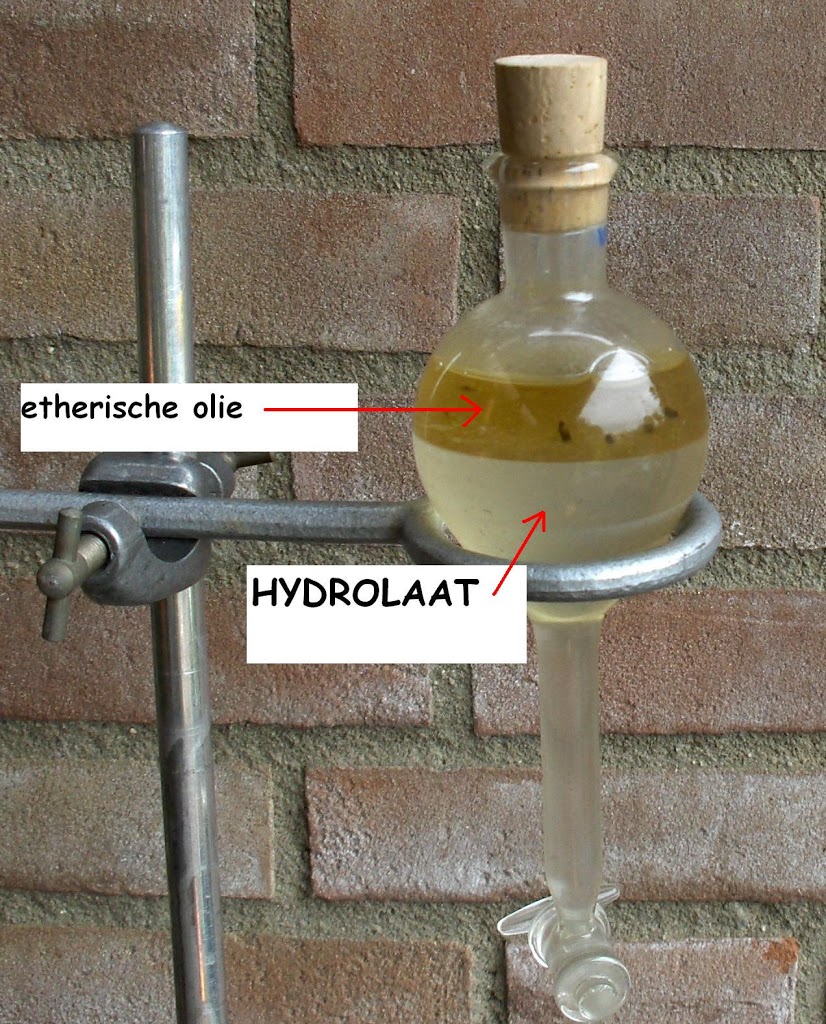 Wat is een hydrolaat?